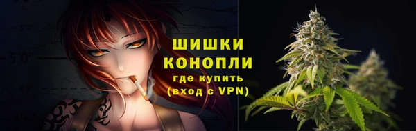 spice Няндома