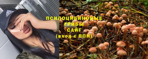 2c-b Белоозёрский