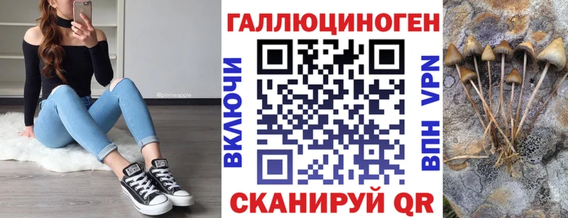 Галлюциногенные грибы Psilocybe  Мышкин 